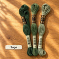 Sage palette: three DMC six-strand embroidery floss skeins